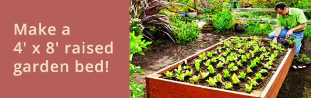 For under $75.00 you can make a 4’ x 8’ raised garden bed!